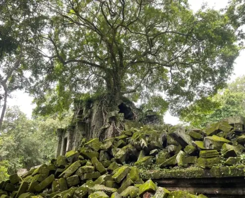 《B-7》【天空の神殿プリアヴィヒア、ベンメリア】日帰りツアー【7:00~19:00】 - Gallery